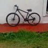 santino.xd379