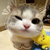 htet.myat66.0