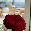 sarasara62882
