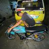 ludy