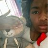aylo_278
