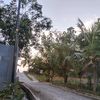 erdina.putri5