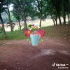 sugikeren5