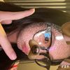 im_cinderellaxd