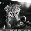 yxz_bhq02