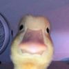 joeyhaitbig