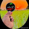 murtaza.murtaza4806
