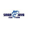 sinarjayafishfarm
