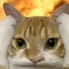 motconmeocobnhiuconmeo