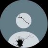 shami__58