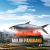 borneo_city5