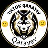 qarayev_456