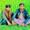 malik_aliraza60