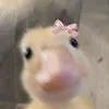 yulenyx0