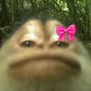 giovannamanu595