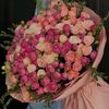 user19036531876180