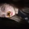 nastiks12_12
