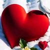user2363205576336