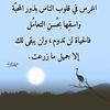 user7332659183617