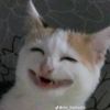 just.funny574