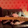 nick_brave