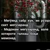 mustafo.suhayli2