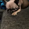 lucie.slater2
