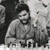 abdellamuhammad