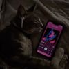 juju_luvsfood.uwu