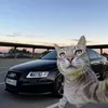 slowed.cars
