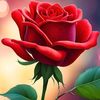 ahmed.habshi