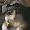 dansawyer