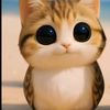 pebble_pet73