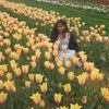 nidhibollu