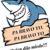 user4304411525294