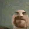 mrwhite201020010