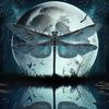 dragonflylover120