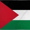 freedom.pal.leb.101