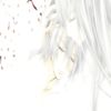 ffffffx111