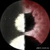 ducthuydz