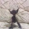 lilith_12021
