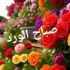 omyoussef958