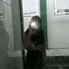 lovelyz_tifah