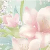 fluffy_knight1234
