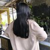 ndina_disinii