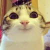 lllllllllllll1210