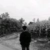 ky_dtya