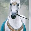 user7221701337199