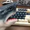 Sharkshark