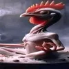 aleksdrar1q